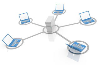 局域網與互聯網 計算機軟件開發中的雙重視角